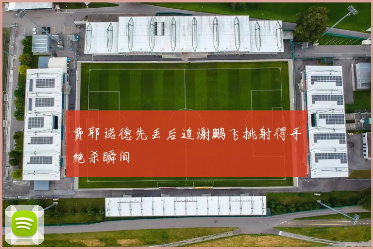 费耶诺德先丢后追谢鹏飞挑射得手绝杀瞬间