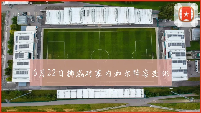 6月22日挪威对塞内加尔阵容变化