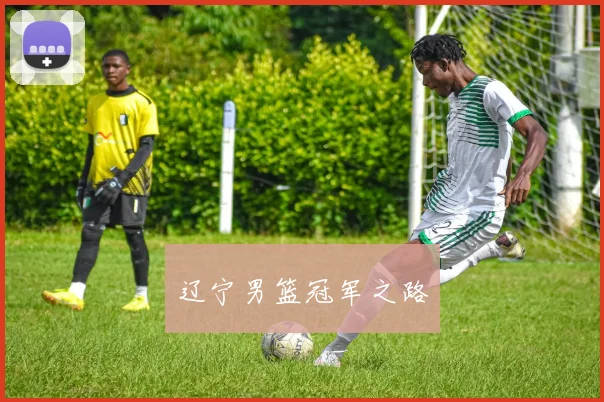 辽宁男篮冠军之路