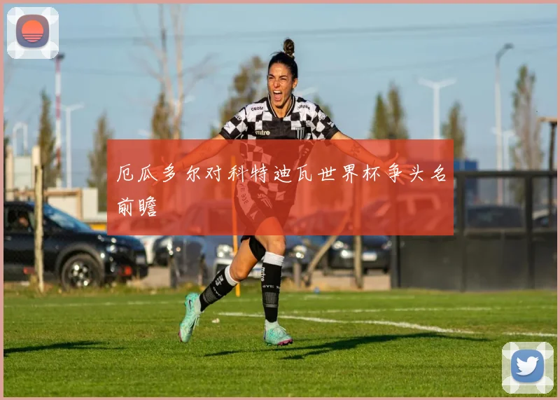 厄瓜多尔对科特迪瓦世界杯争头名前瞻