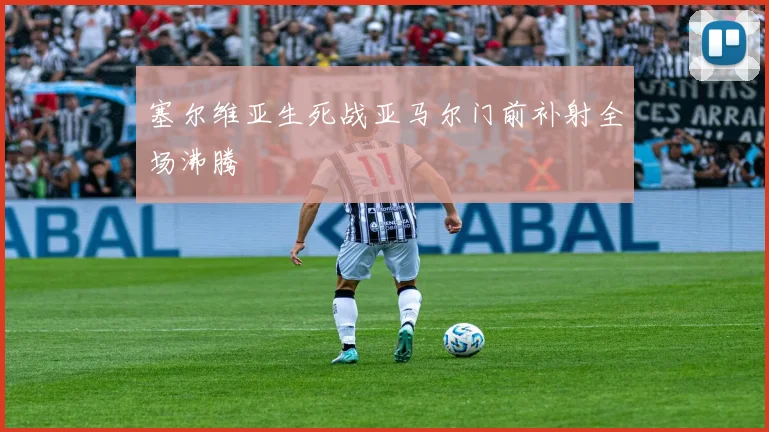 塞尔维亚生死战亚马尔门前补射全场沸腾